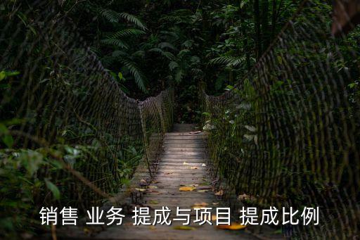 銷售 業(yè)務 提成與項目 提成比例