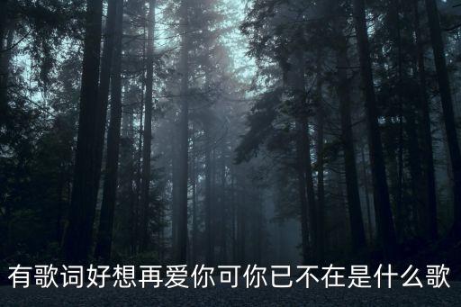 有歌詞好想再愛你可你已不在是什么歌