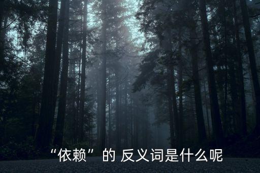 依附的反義詞,依賴反義詞:獨立不是從屬