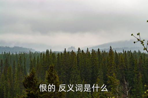 怨恨的反義詞,第二集:可愛和可恨的關系