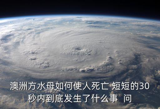 澳洲方水母如何使人死亡 短短的30秒內到底發生了什么事  問