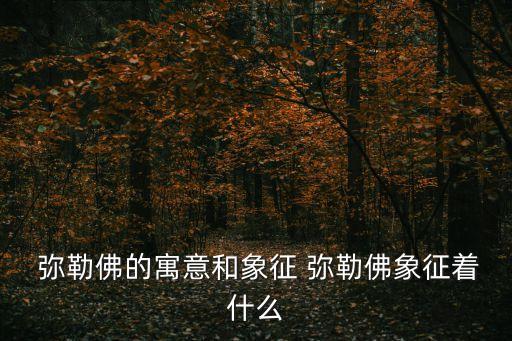 彌勒佛保佑什么的,中國人對彌勒佛的喜愛將在玉雕文化中體現