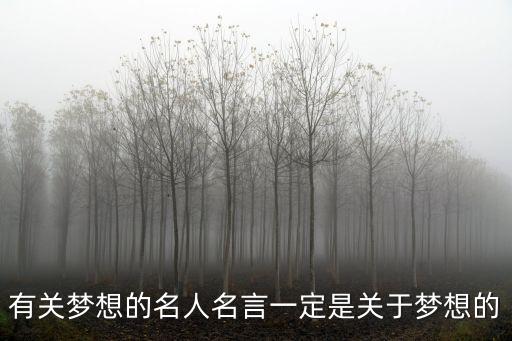 有關(guān)夢想的名人名言一定是關(guān)于夢想的