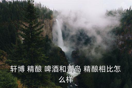 軒博 精釀 啤酒和青島 精釀相比怎么樣