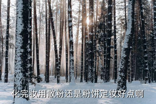化完妝用散粉還是粉餅定妝好點啊