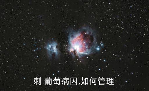 刺葡萄,苗族采用鐵絲沿地面種植葡萄節約耕地