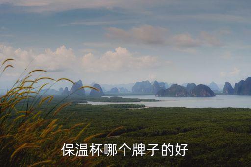 保溫杯品牌，保溫杯哪個牌子的好