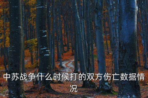 中蘇戰爭什么時候打的雙方傷亡數據情況
