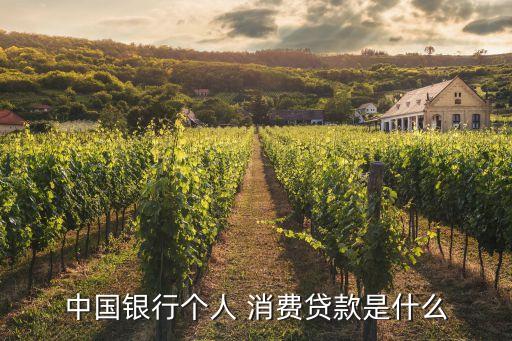 消費貸是什么,中行消費貸款個人貸款分為兩類