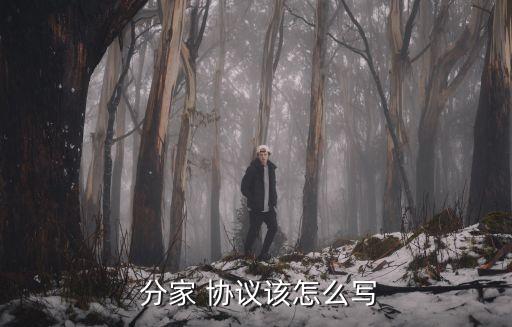  分家 協(xié)議該怎么寫