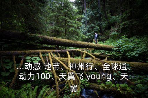 young地帶,祝你生活幸福!電信手機網絡覆蓋快速穩定