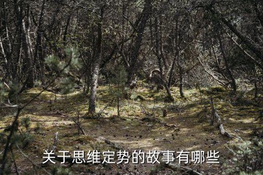 關(guān)于思維定勢(shì)的故事有哪些