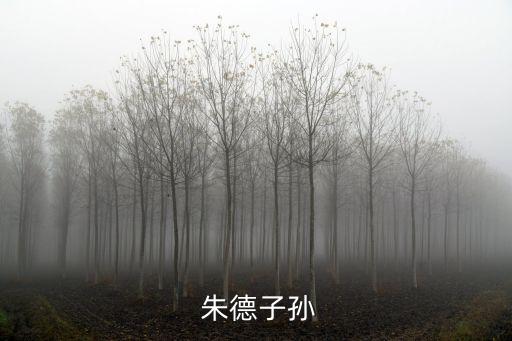 朱德的孫子朱國華,朱德何年生下女兒朱敏和朱-