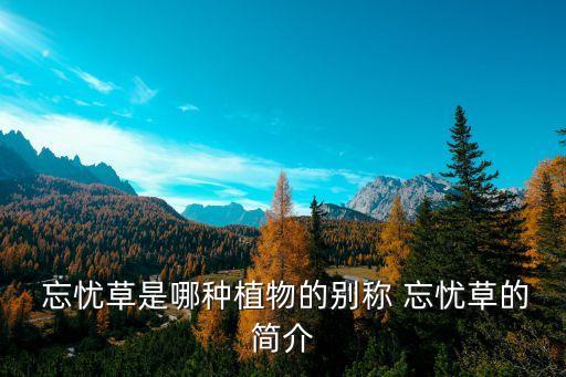  忘憂草是哪種植物的別稱 忘憂草的簡介