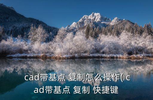 cad復(fù)制快捷鍵,cad帶基點(diǎn)復(fù)制快捷key