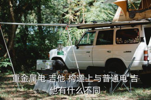吉他構造,電吉他采用磁性鐵絲弦高音表現力更強
