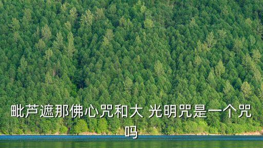 毗蘆遮那佛心咒和大 光明咒是一個咒嗎