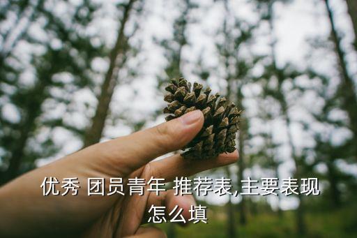  優秀 團員青年 推薦表,主要表現怎么填