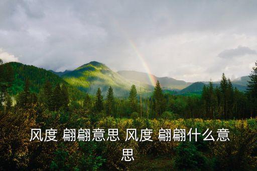  風(fēng)度 翩翩意思 風(fēng)度 翩翩什么意思