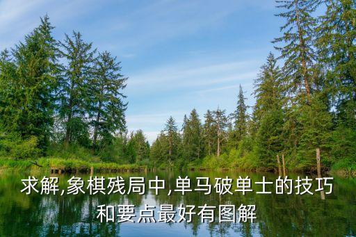 求解,象棋殘局中,單馬破單士的技巧和要點最好有圖解