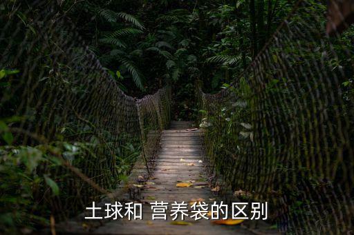 土球和 營養(yǎng)袋的區(qū)別