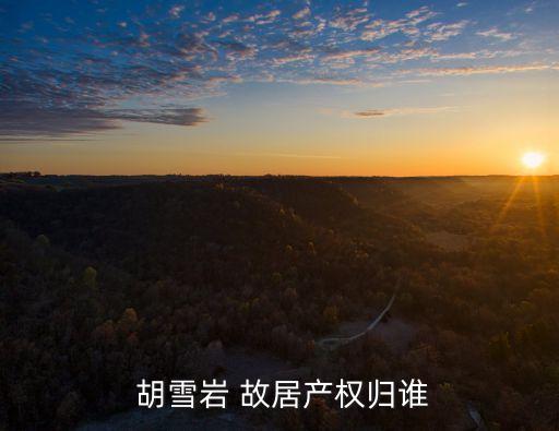 胡雪巖故居,杭州胡雪巖故居是中國(guó)富商第一豪宅