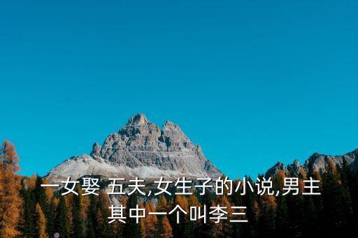  一女娶 五夫,女生子的小說(shuō),男主其中一個(gè)叫李三