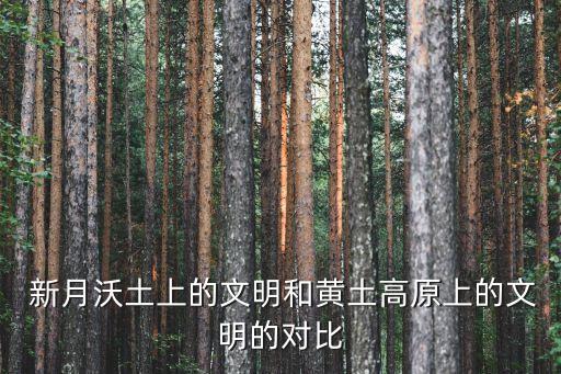 新月沃地,新中國成立于1949年三大文明古國之首