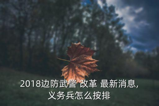 2018邊防武警 改革 最新消息,義務兵怎么按排