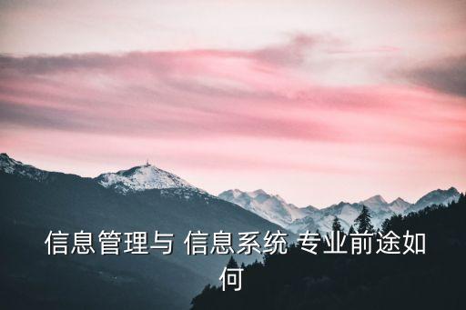 信息管理與信息系統專業