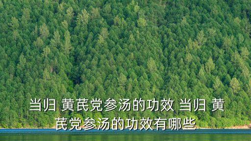  當(dāng)歸 黃芪黨參湯的功效 當(dāng)歸 黃芪黨參湯的功效有哪些