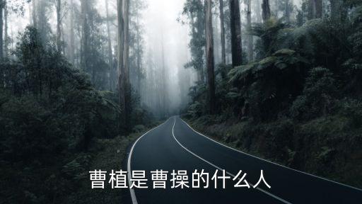 曹植簡介，有關曹植的信息