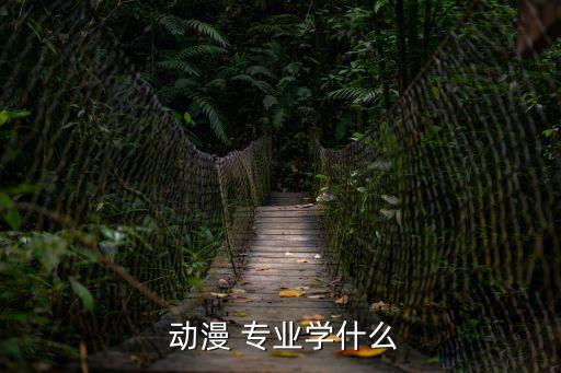 動漫專業,因人才結構單一影響動漫專業畢業生就業優勢