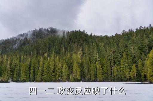  四一二 政變反應映了什么