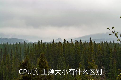 處理器主頻,處理器的四大重點