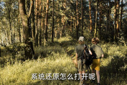 怎么開(kāi)啟系統(tǒng)還原，系統(tǒng)還原怎么打開(kāi)呢