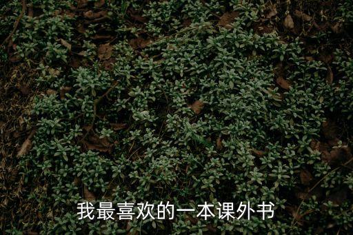 我最喜歡的一本課外書