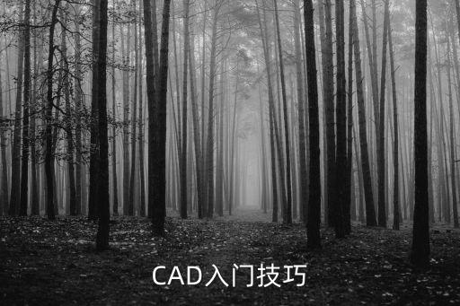 CAD入門技巧