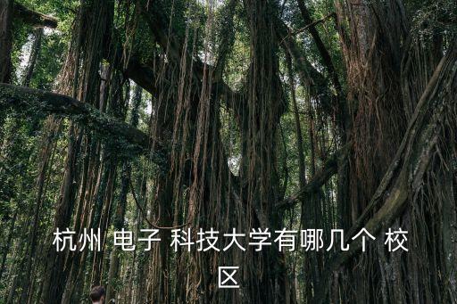  杭州 電子 科技大學(xué)有哪幾個(gè) 校區(qū)