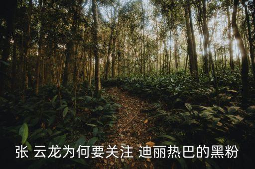 迪麗熱巴張云龍,看了采訪才知道張云龍三觀很好
