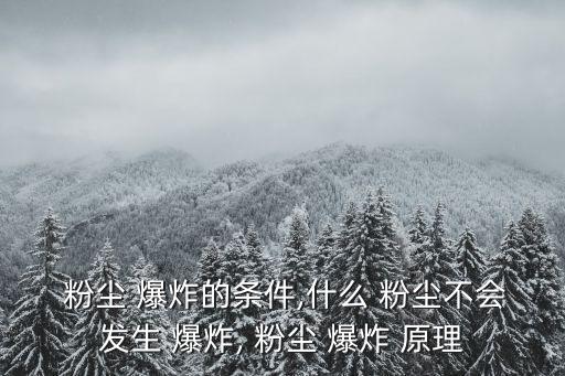 粉塵爆炸原理,面粉廠粉塵爆炸是1.1級地震
