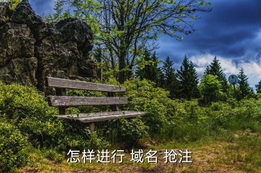 搶注域名,第一階段域名將在30天內(nèi)退出注冊商