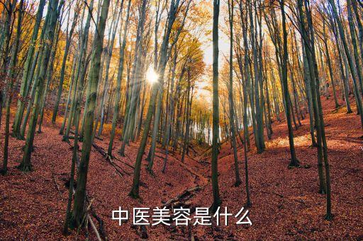 中醫(yī)美容，中醫(yī)美容的方法