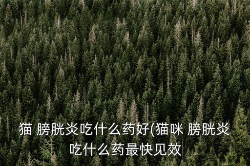 膀胱炎吃什么藥,急性膀胱炎可選用無耐藥性中藥治療