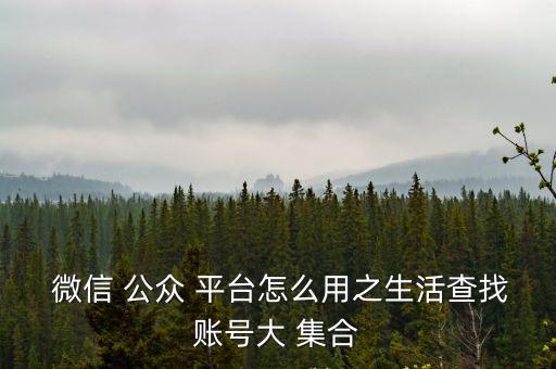 微信公眾平臺集合,杭州公共出行如何刷?