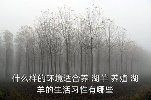什么樣的環境適合養 湖羊 養殖 湖羊的生活習性有哪些