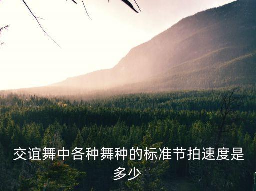  交誼舞中各種舞種的標準節拍速度是多少