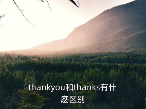 thankyou和thanks有什麼區別
