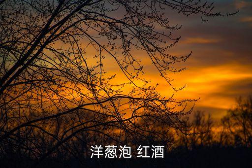  洋蔥泡 紅酒