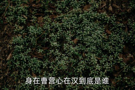 身在曹營心在漢說的是誰，身在曹營心在漢到底是誰